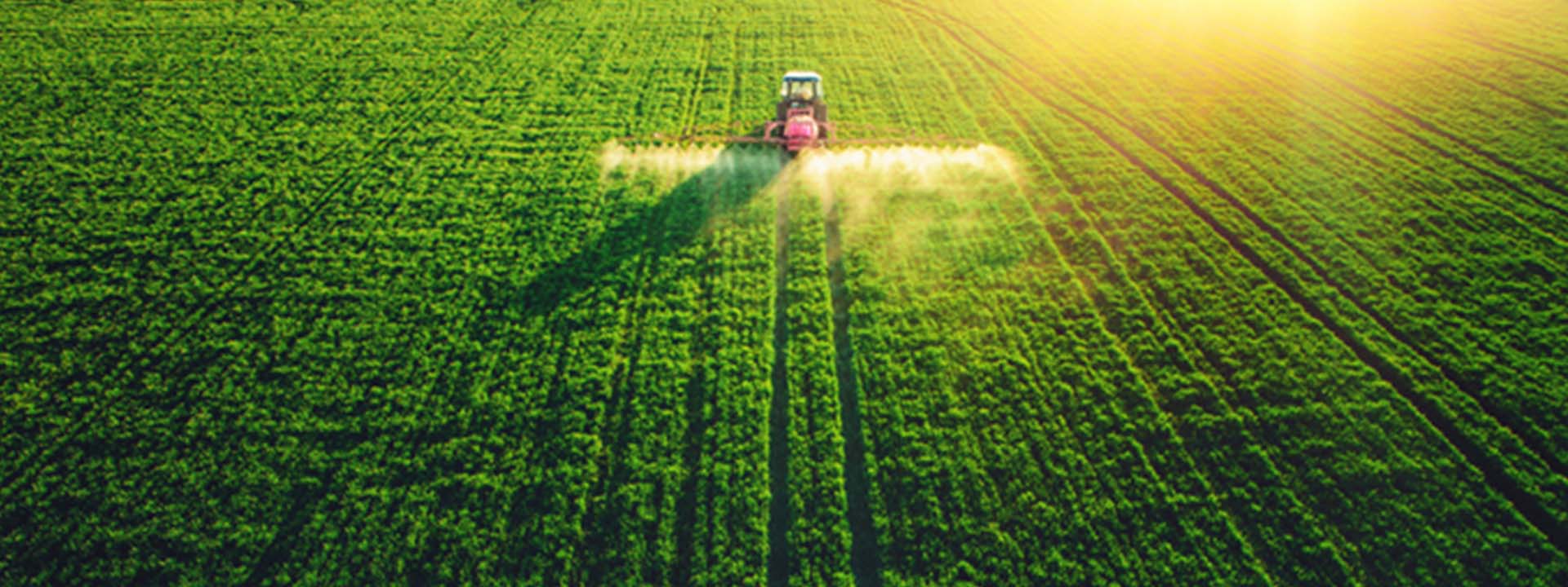 روشهای کاهش هزینه و افزایش بهرهوری در کشاورزی