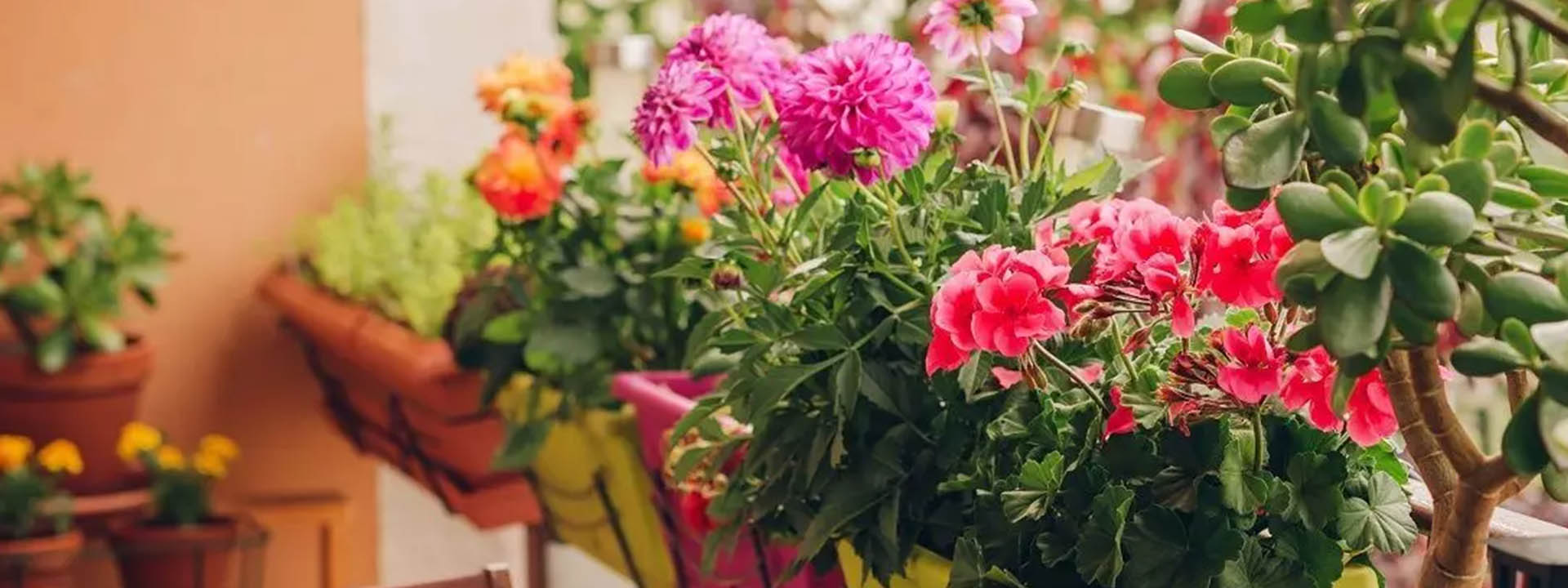 راهنمای جامع برای ایجاد یک باغچه در بالکن