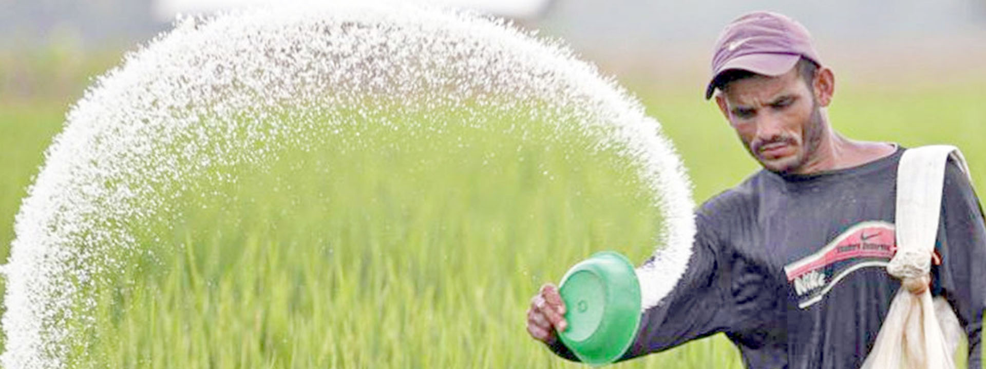 فواید و مضرات استفاده نامناسب از کودهای شیمیایی