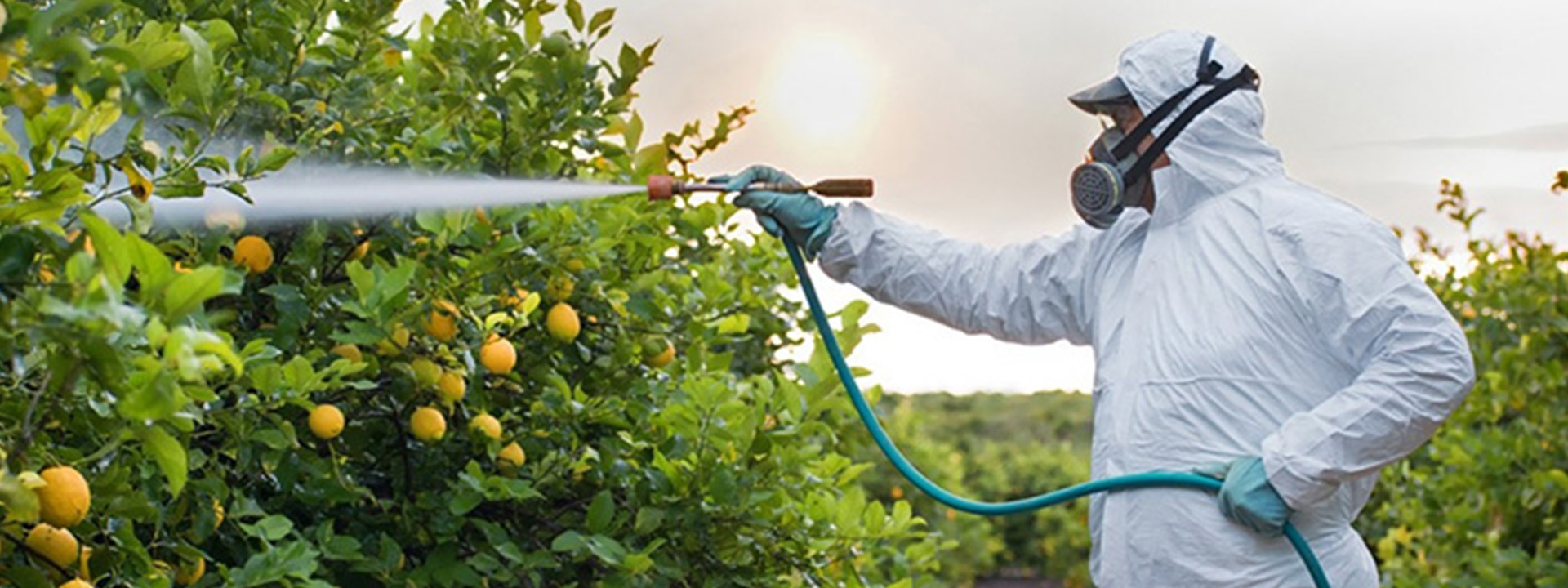 نکات مهم در انتخاب و استفاده از سموم دفع آفت