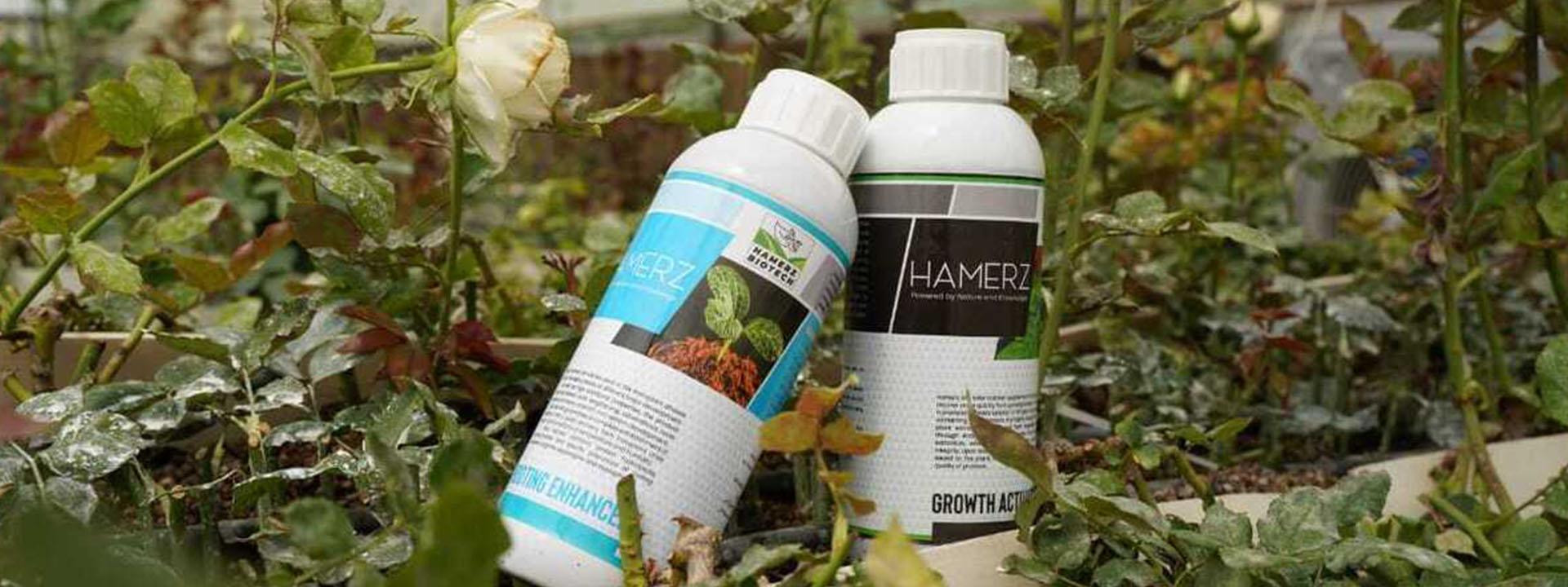 آخرین دستاوردها در تولید سموم زیستی