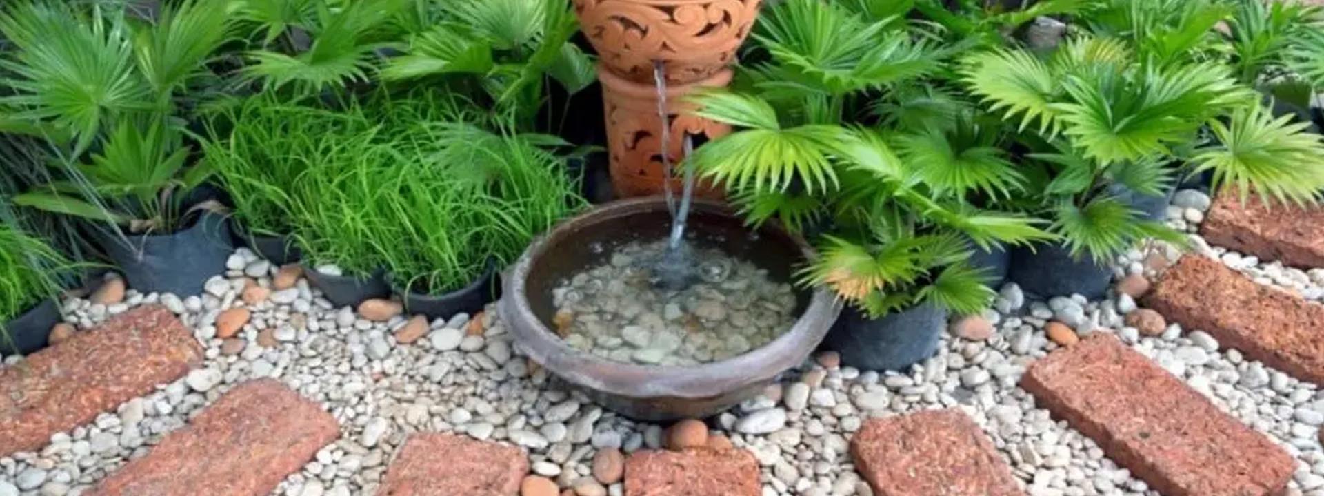 گیاهان مناسب برای کاشت در باغچه های کوچک آپارتمانی