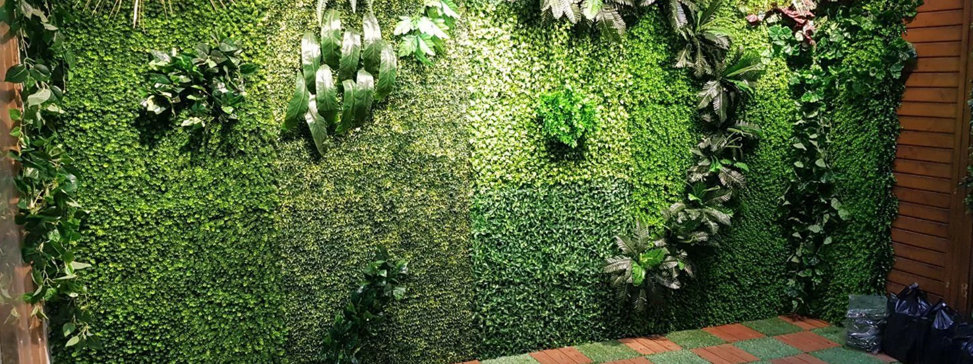 بهترین گیاهان برای اجرای دیوار سبز در اقلیم مشهد