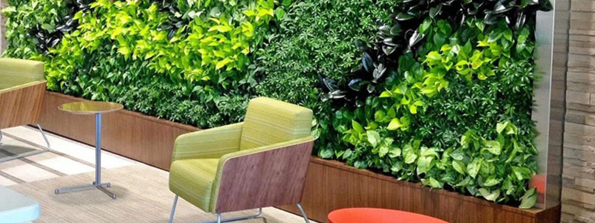 نکات کلیدی نگهداری دیوار سبز در فضاهای داخلی و بیرونی