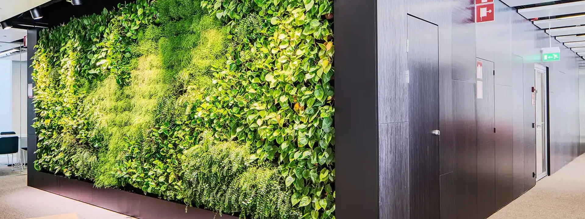 هزینه طراحی و اجرای دیوار سبز در مشهد چقدر است؟